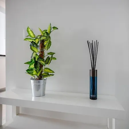 Apartment Brand New Apart With Sea View And Near The